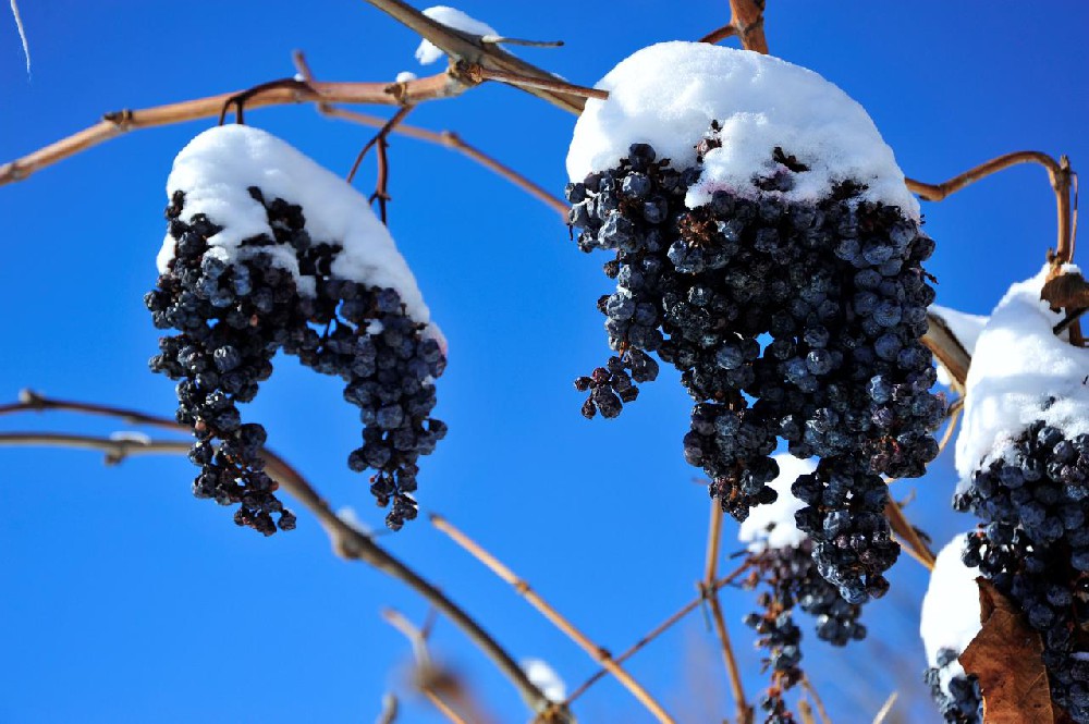 1766222528162804.jpg 微信图片_20251209162645_37_588.jpg